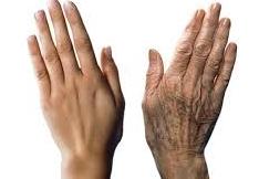 hands