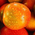 Fruits 