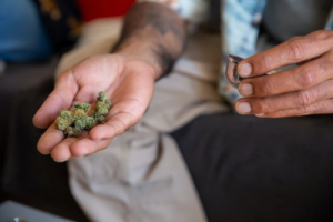 dried weed
